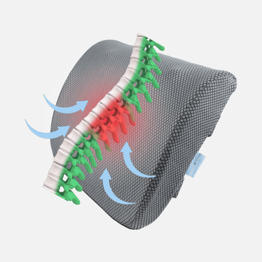 Klaudena Back Pillow